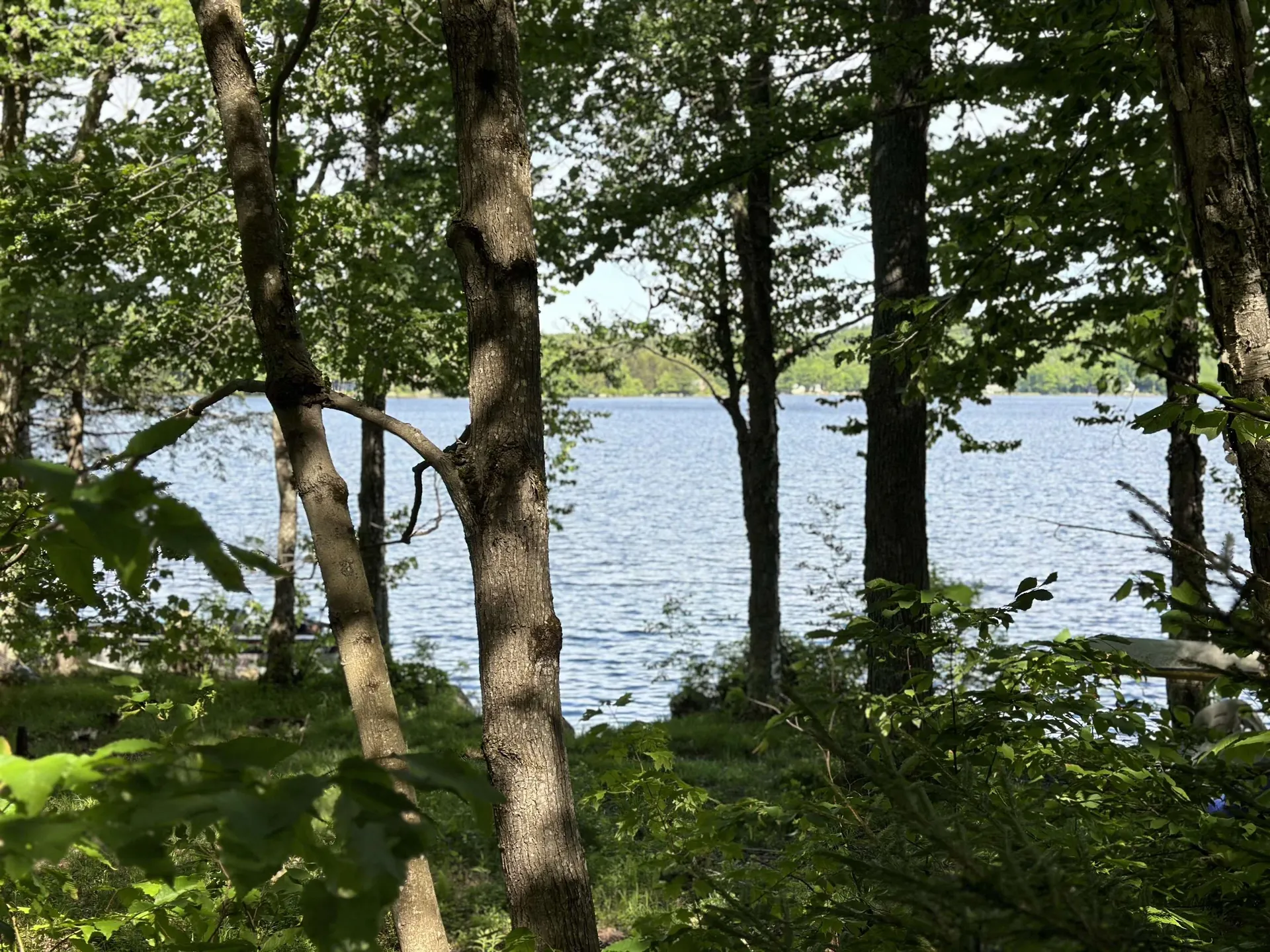 166 Ashuelot Pond Road Washington NH 03280