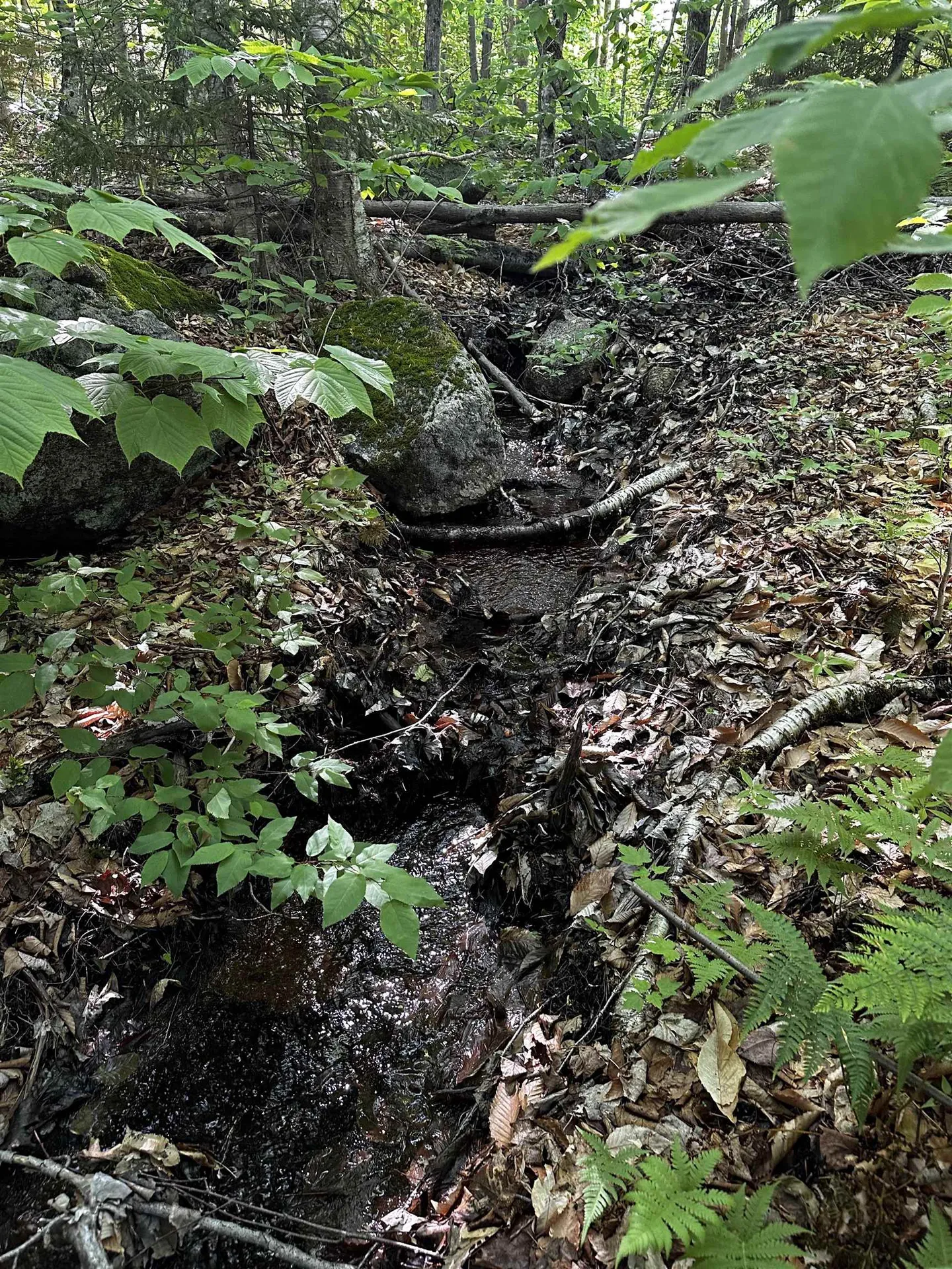 166 Ashuelot Pond Road Washington NH 03280