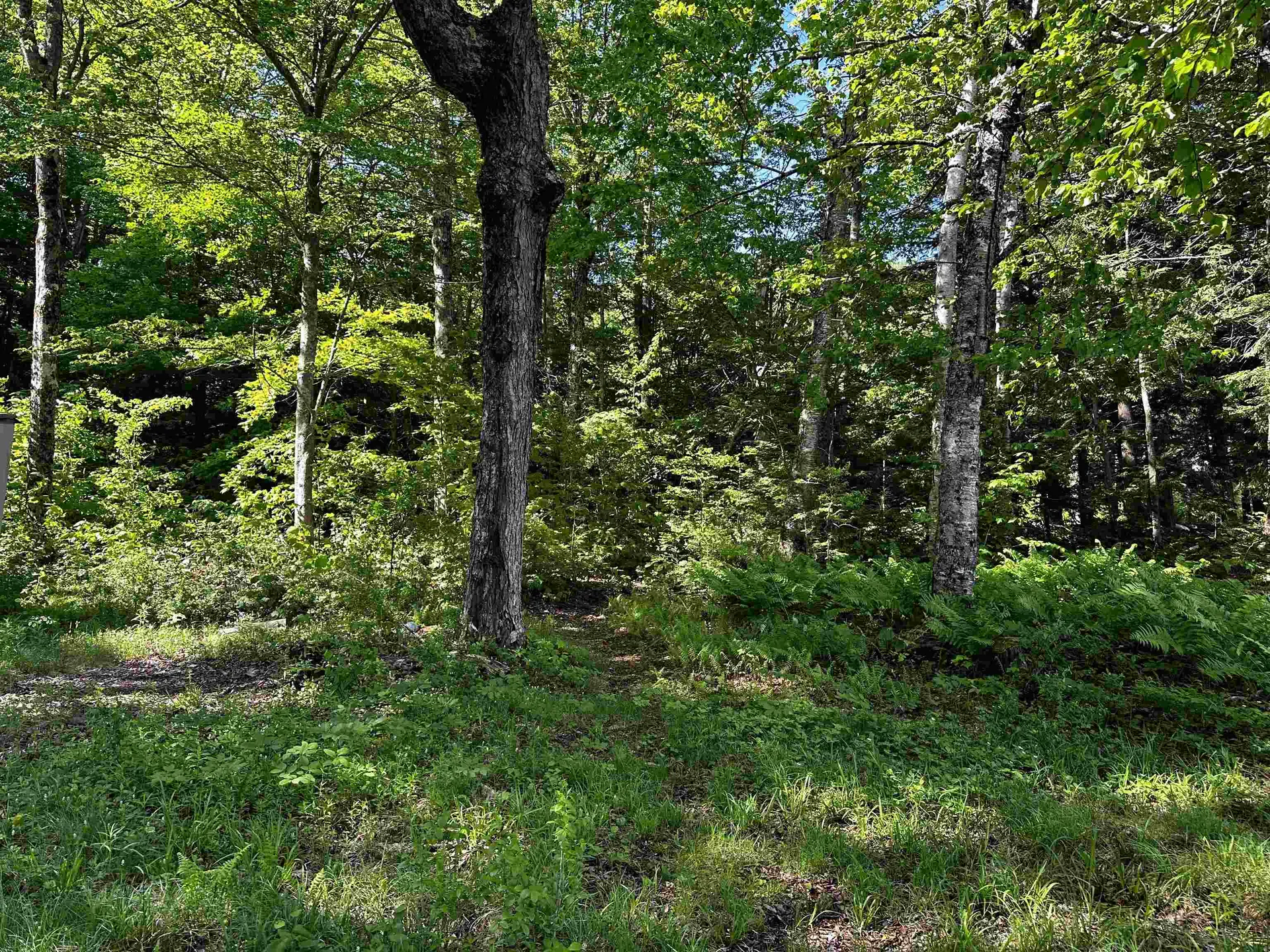 166 Ashuelot Pond Road Washington NH 03280