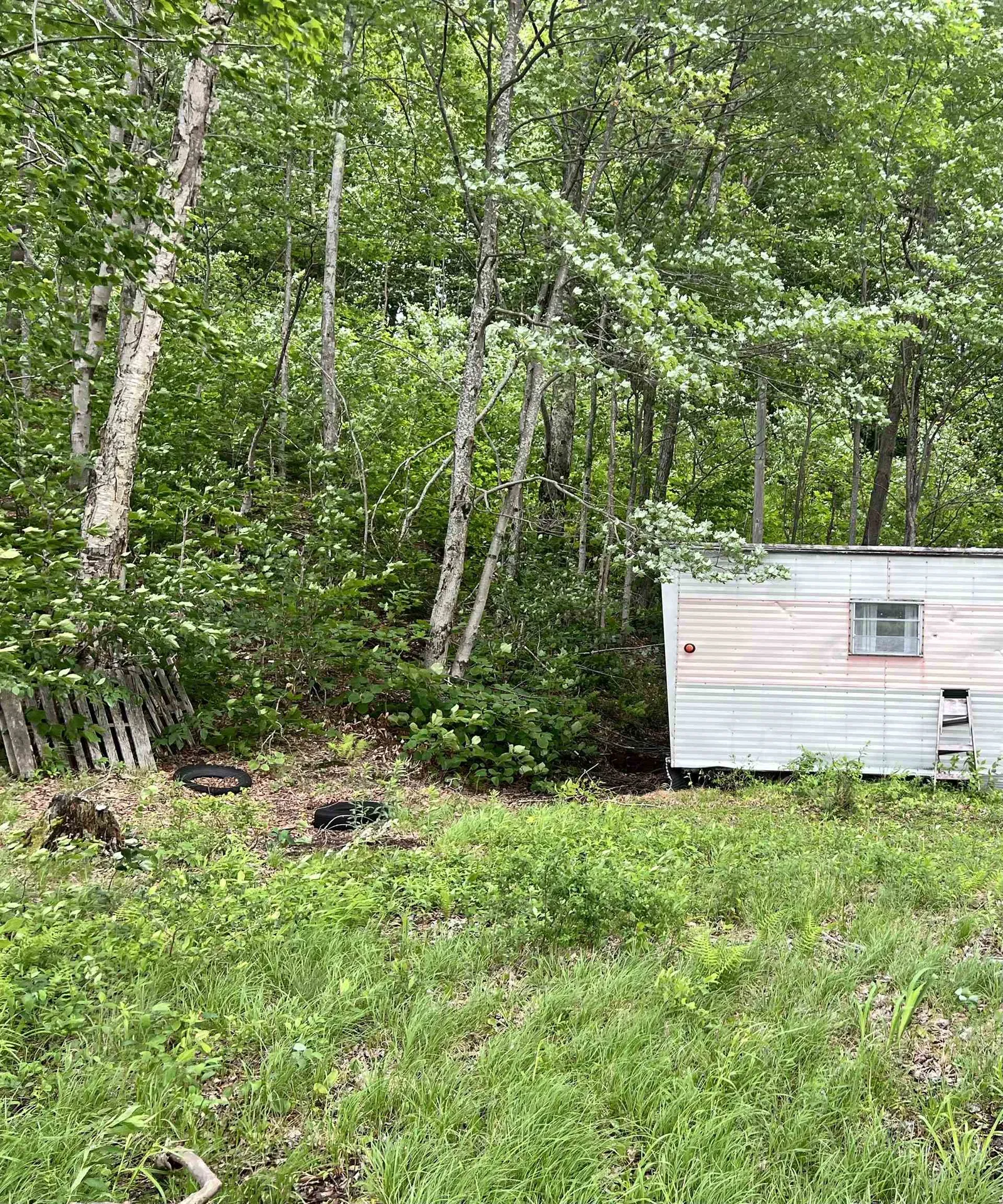 166 Ashuelot Pond Road Washington NH 03280