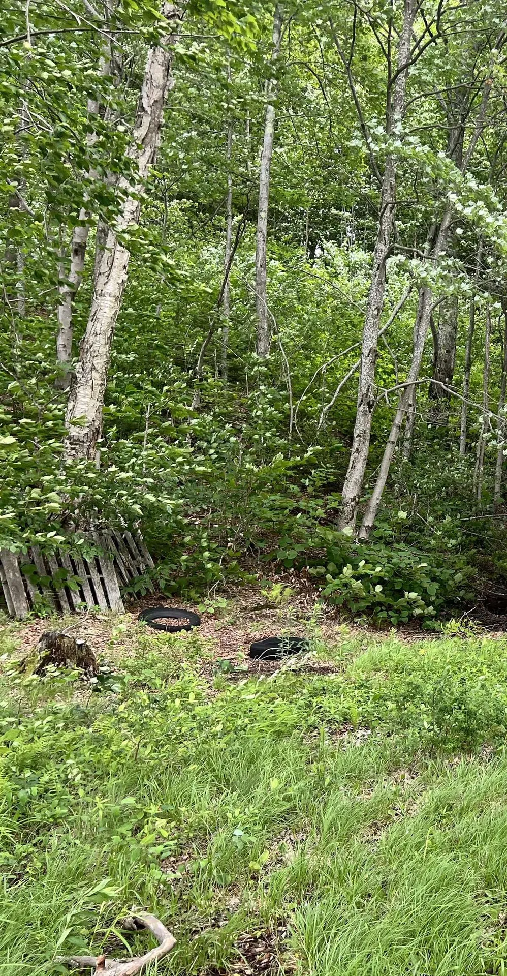 166 Ashuelot Pond Road Washington NH 03280