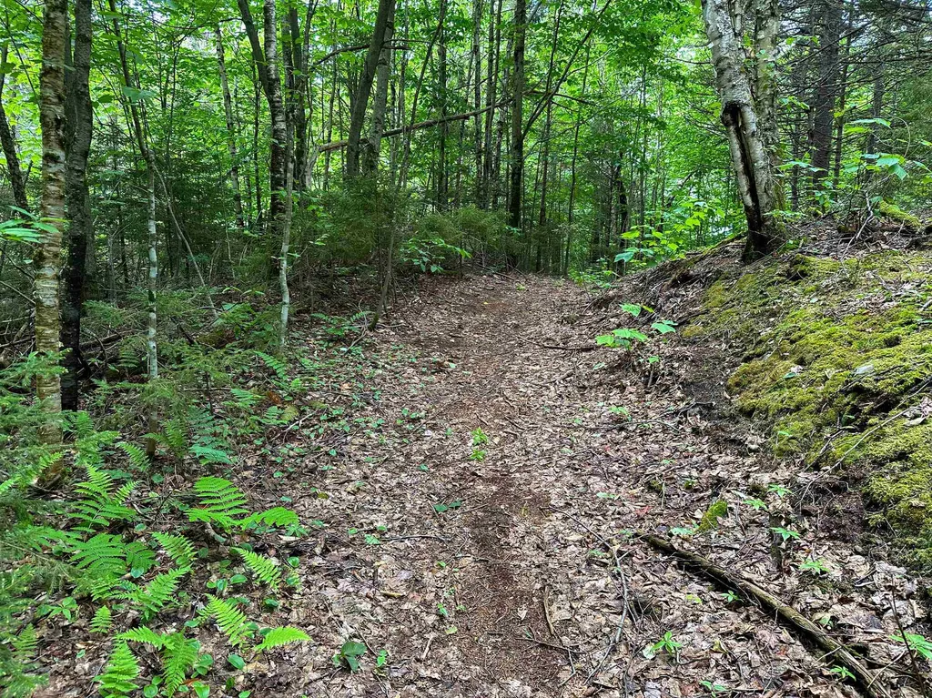 385 White Rocks Road Goshen VT 05733