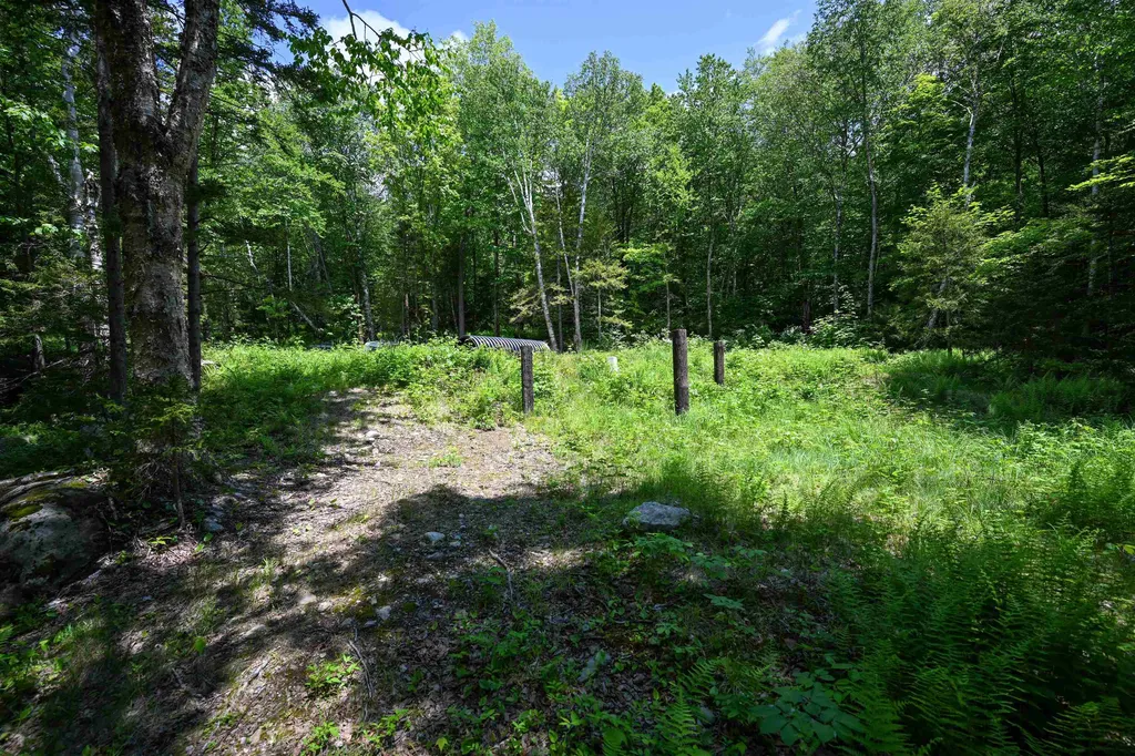 385 White Rocks Road Goshen VT 05733