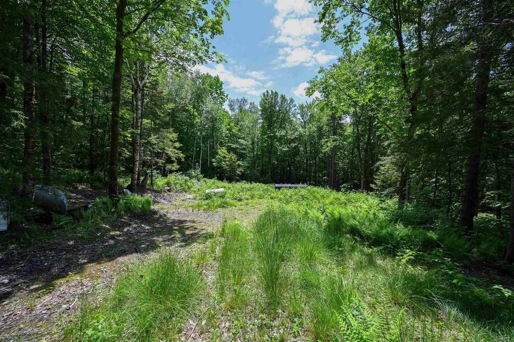 385 White Rocks Road Goshen VT 05733