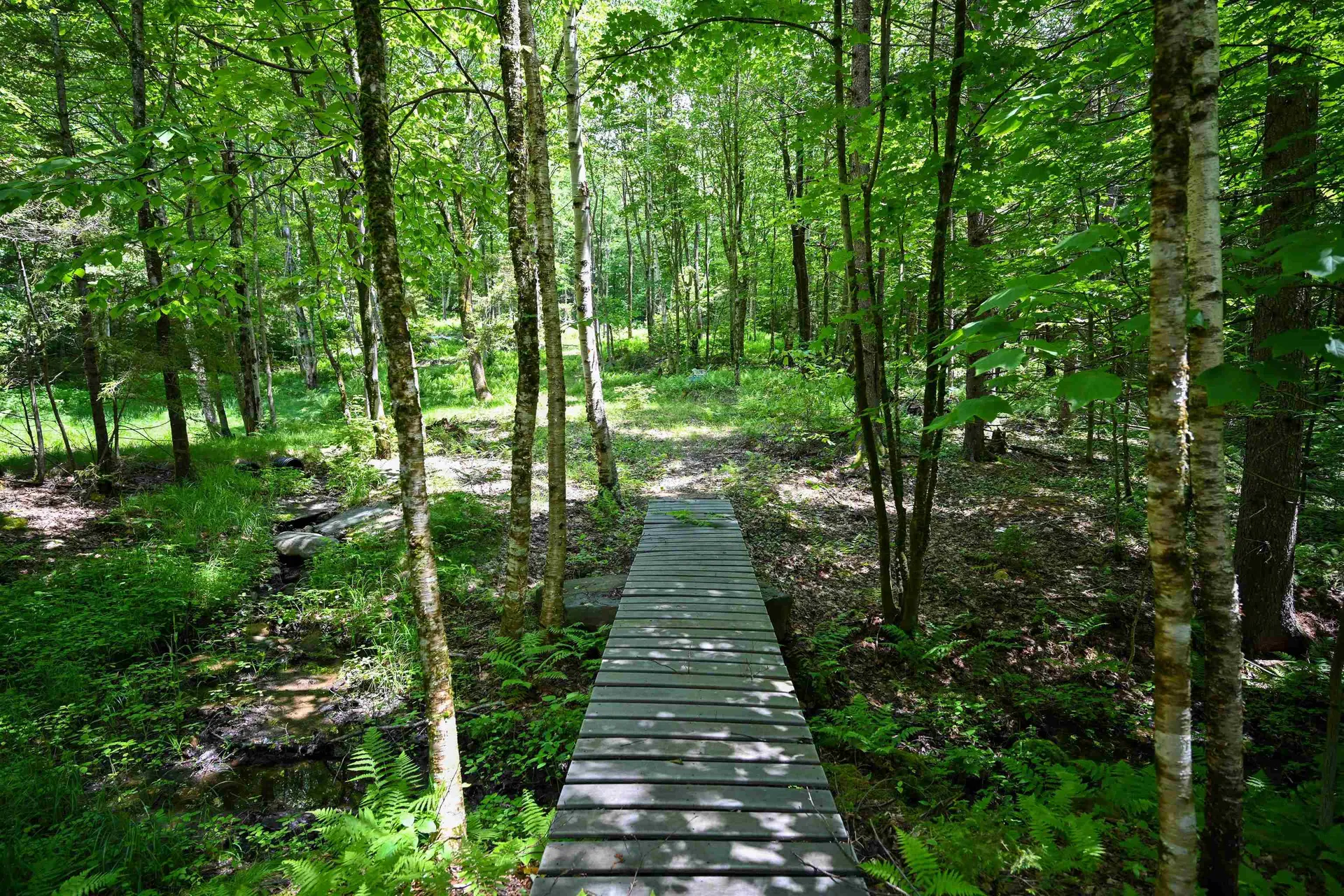 385 White Rocks Road Goshen VT 05733