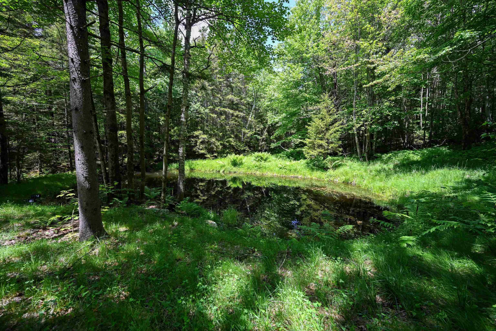 385 White Rocks Road Goshen VT 05733