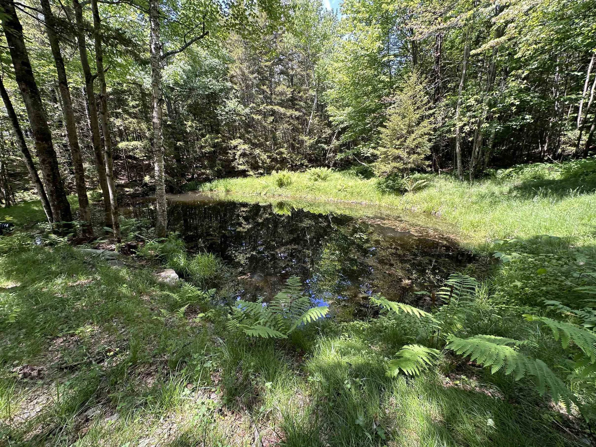 385 White Rocks Road Goshen VT 05733