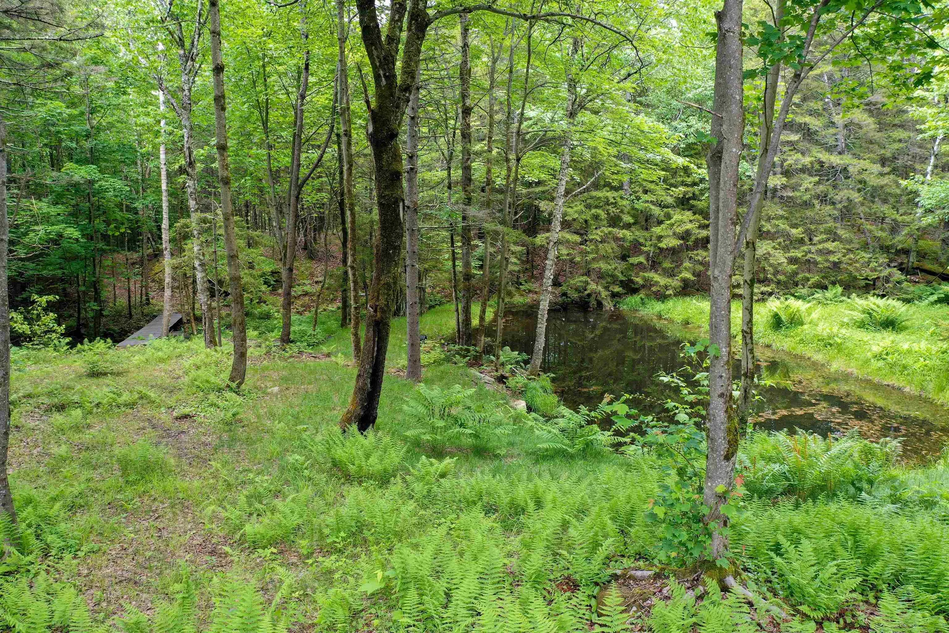 385 White Rocks Road Goshen VT 05733