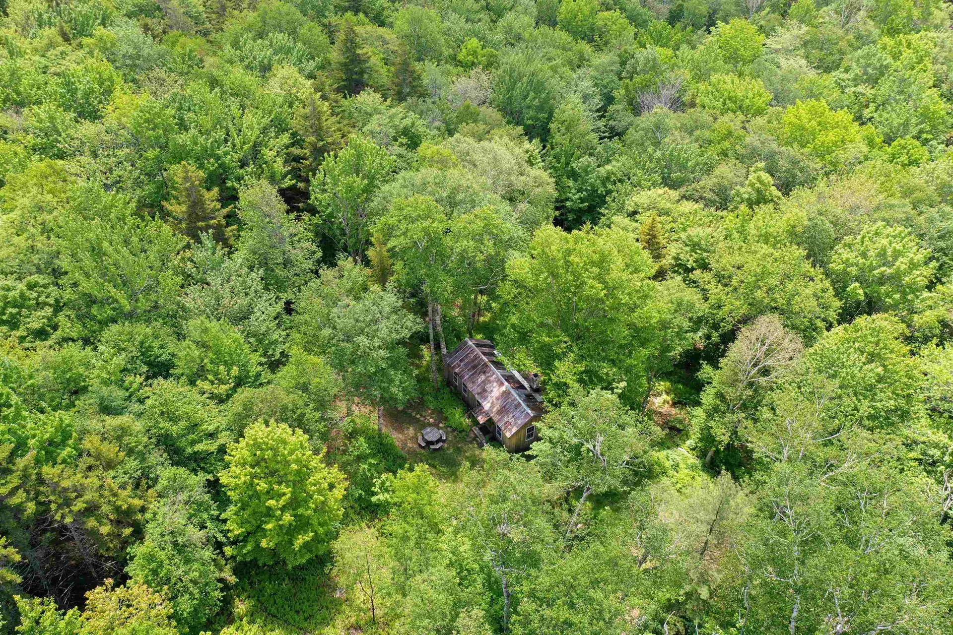 385 White Rocks Road Goshen VT 05733