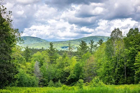 2347 Hapgood Pond Road Peru VT 05152