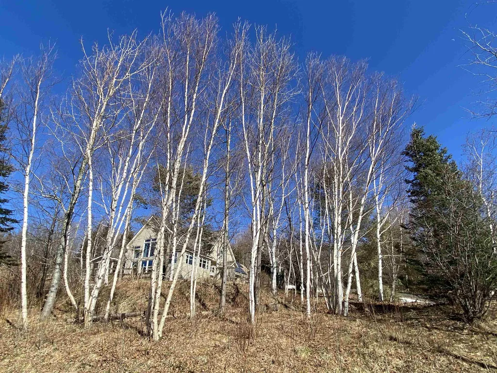 8 Camp Road Dover VT 05341