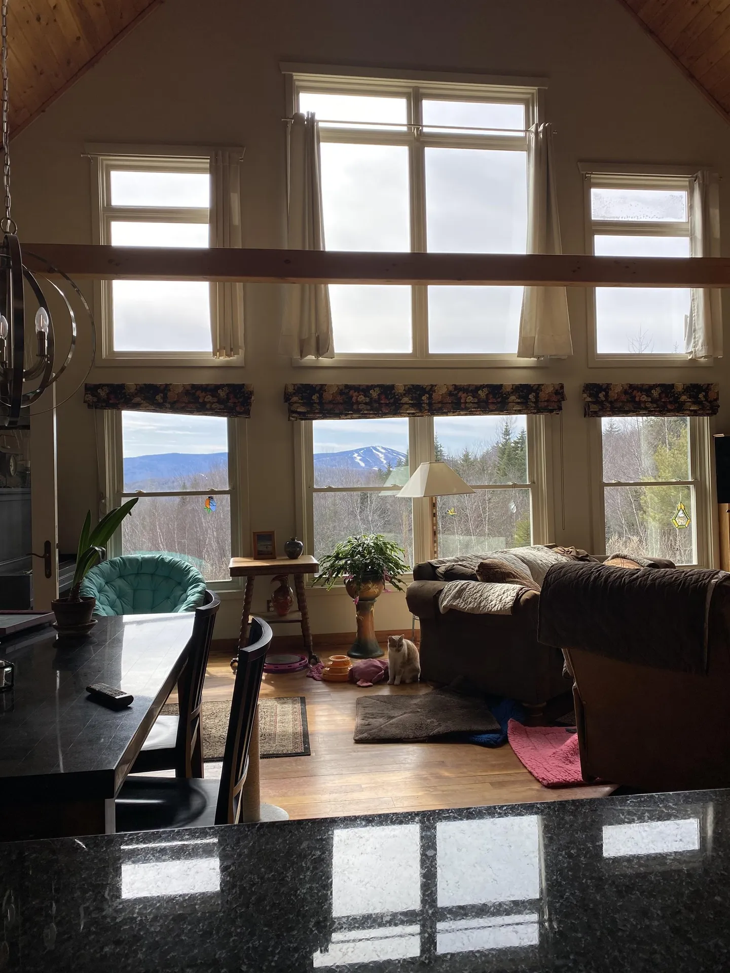8 Camp Road Dover VT 05341