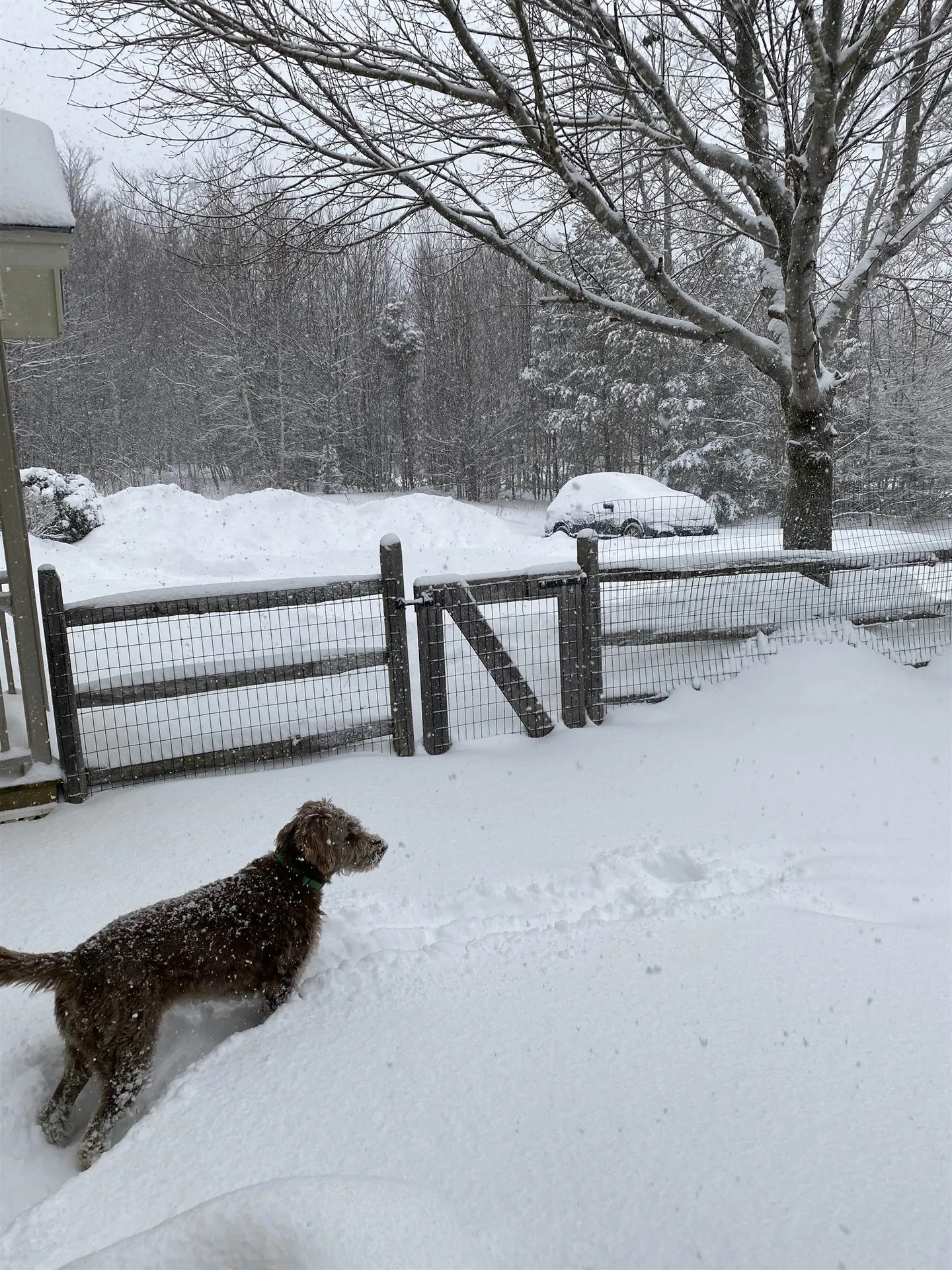 8 Camp Road Dover VT 05341