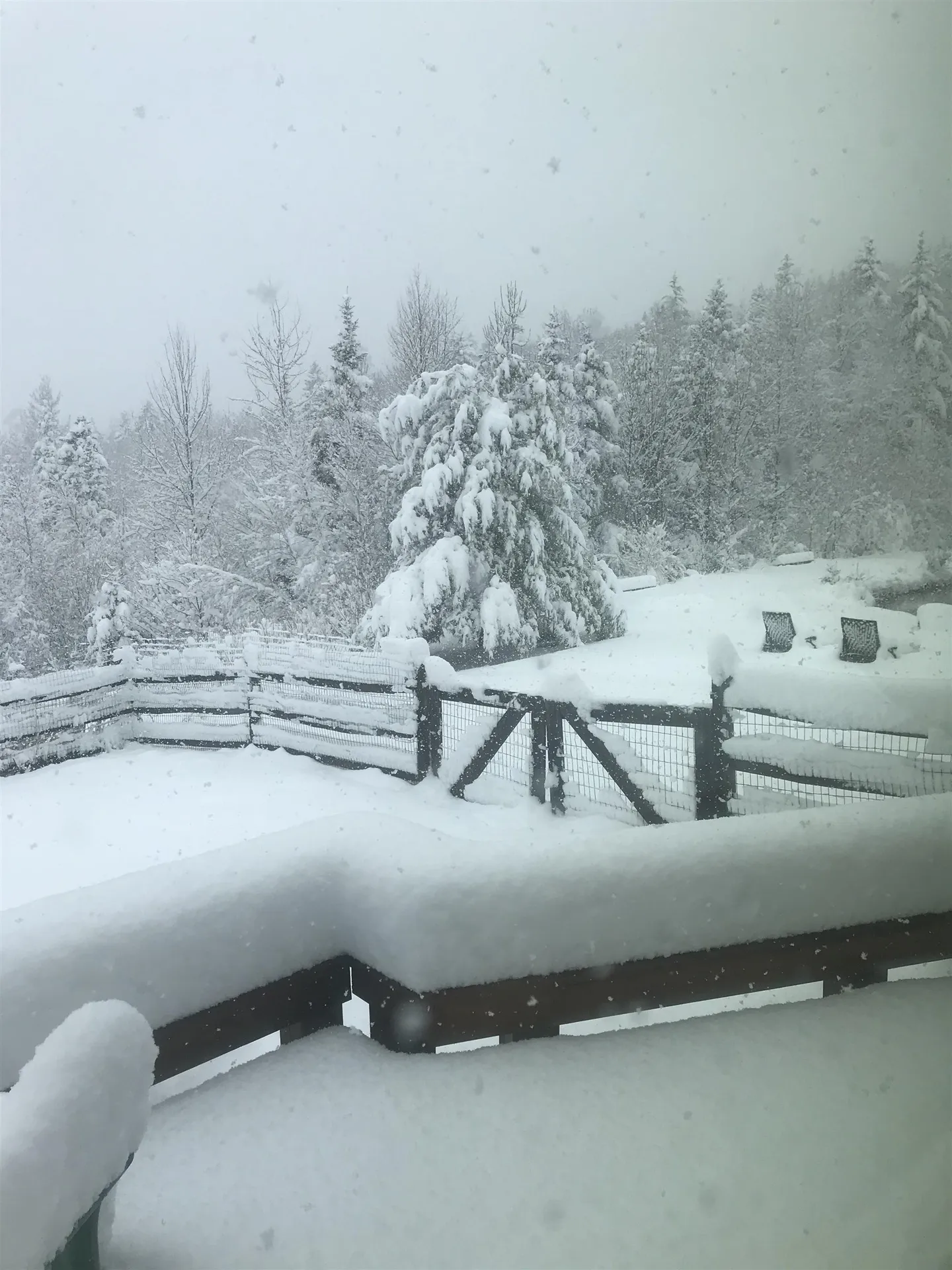 8 Camp Road Dover VT 05341