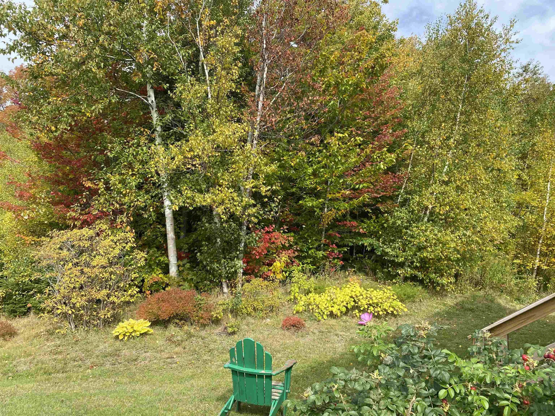 8 Camp Road Dover VT 05341