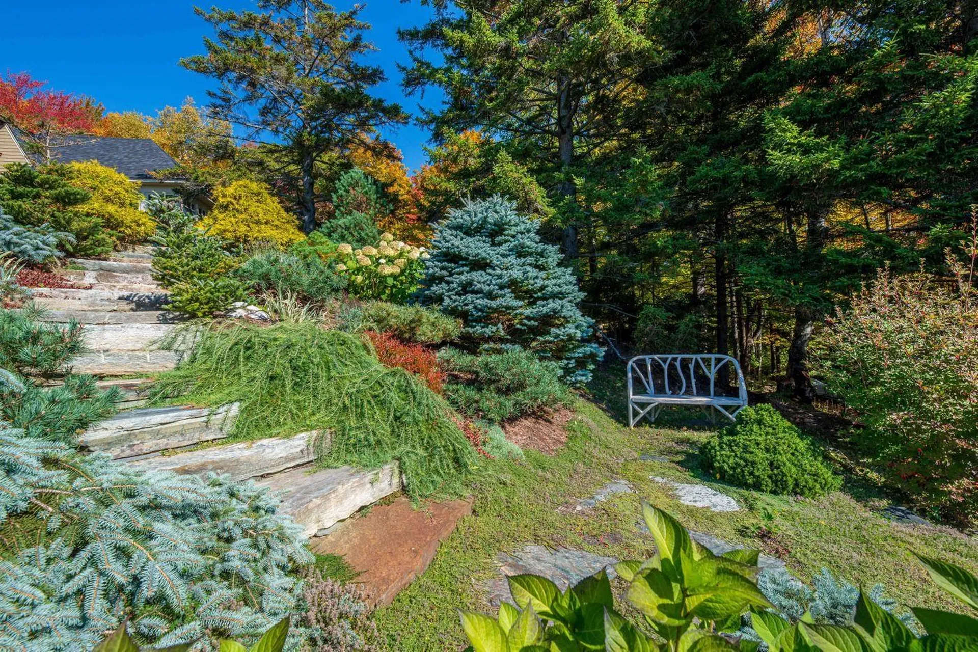 2051 Gold Coast Road Bridgewater VT 05034