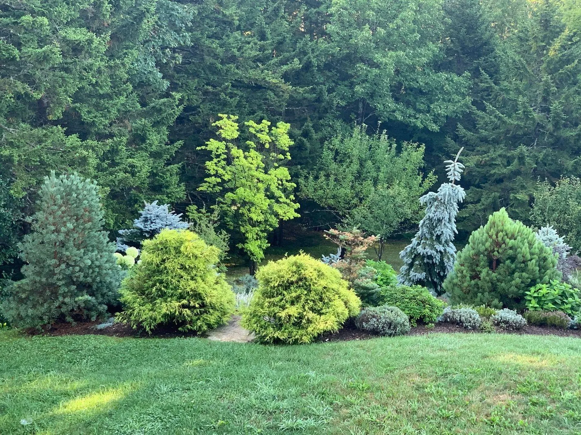 2051 Gold Coast Road Bridgewater VT 05034