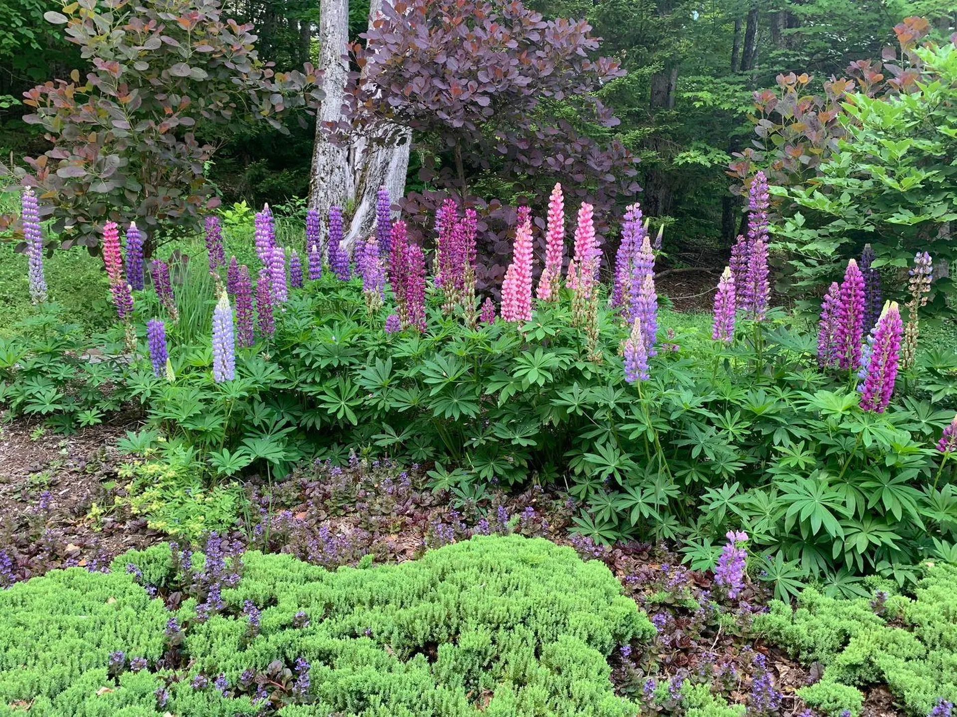 2051 Gold Coast Road Bridgewater VT 05034