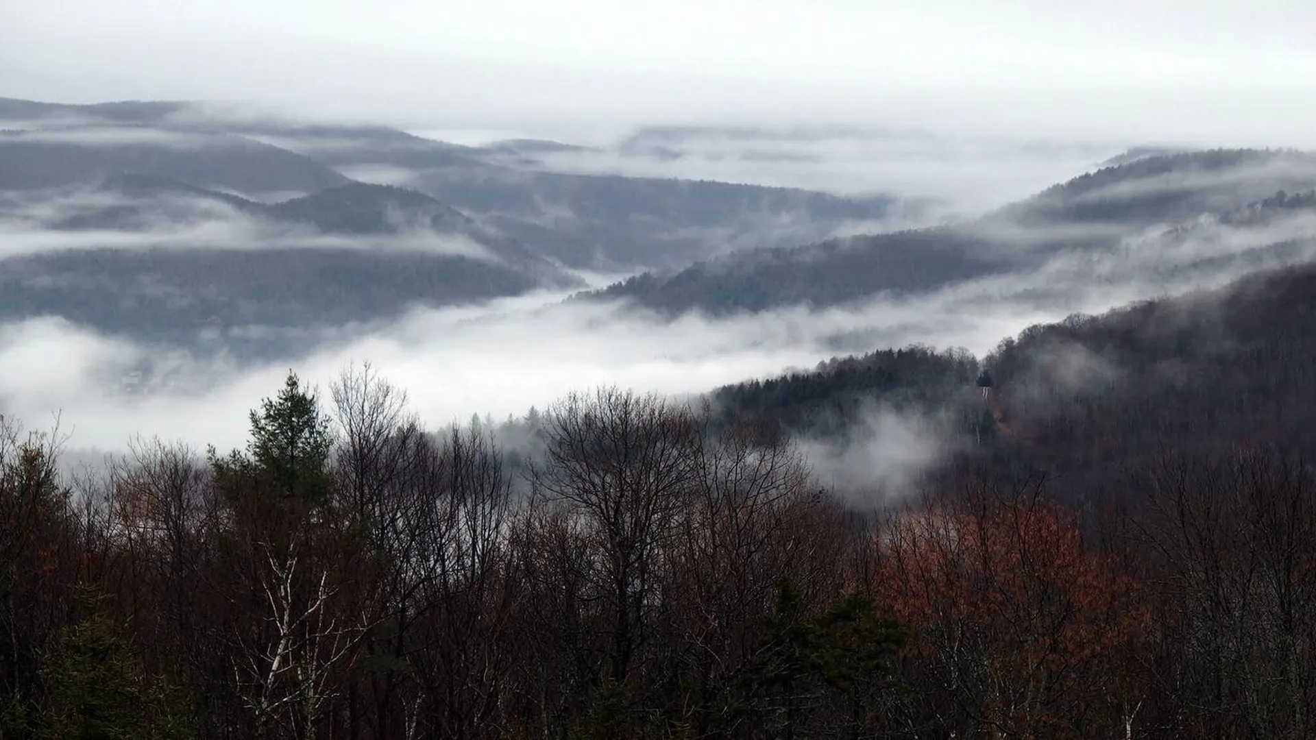 2051 Gold Coast Road Bridgewater VT 05034