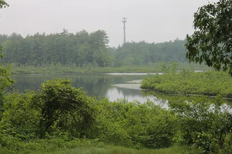 5 Twitchells Way Sandown NH 03873