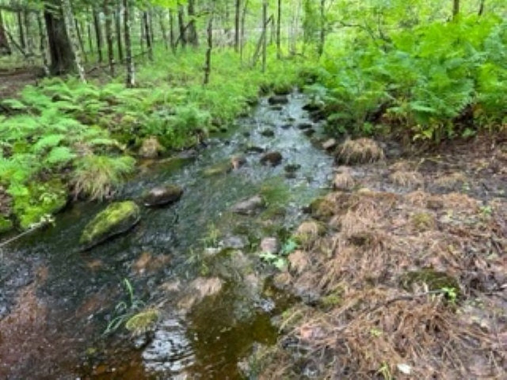 36 Old Settlers Road Barrington NH 03825