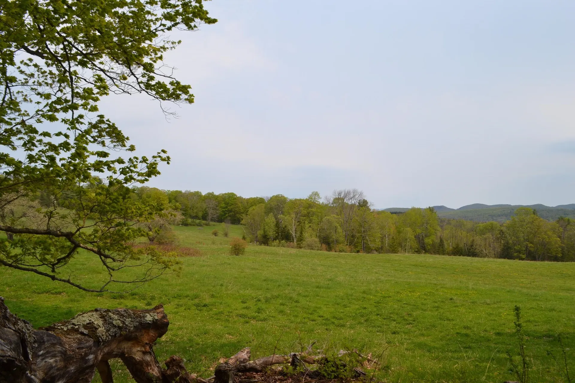 0 Blodgett Road Cabot VT 05647