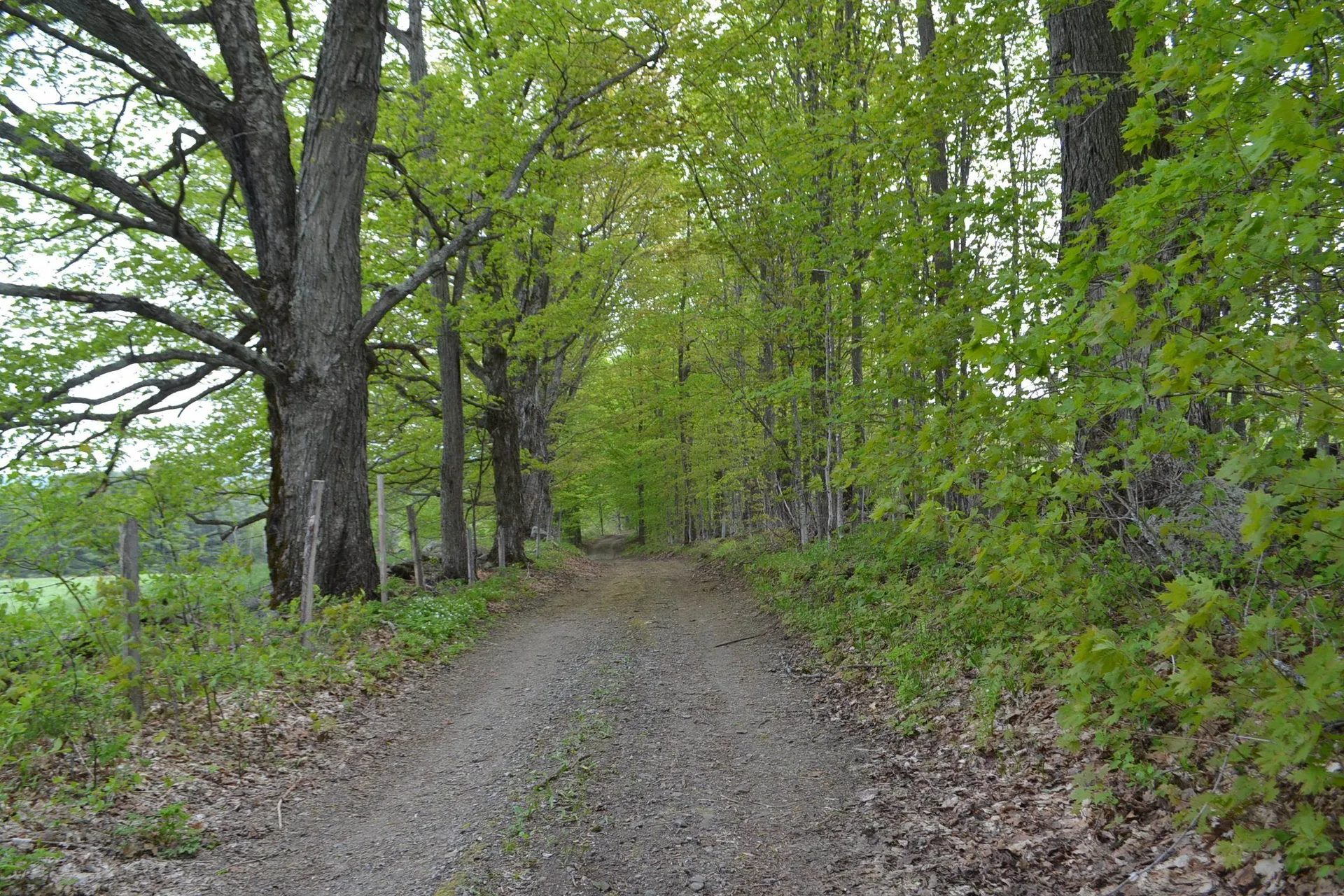 0 Blodgett Road Cabot VT 05647