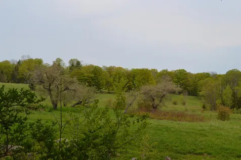 0 Blodgett Road Cabot VT 05647