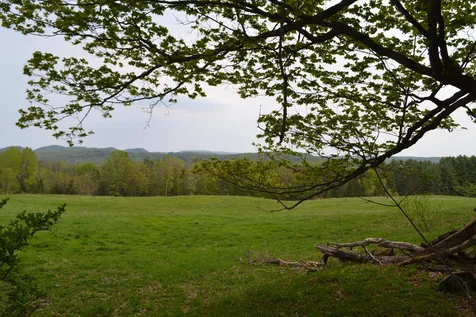 0 Blodgett Road Cabot VT 05647