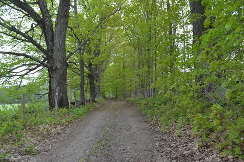 0 Blodgett Road Cabot VT 05647