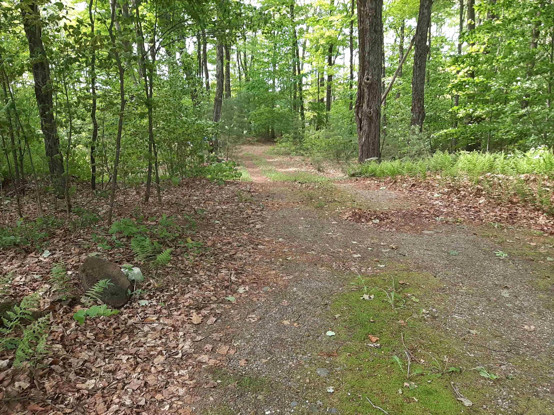 637 Sam Putnam Road Charlestown NH 03603
