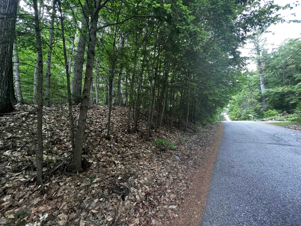 Lot 31 Access Road Wakefield NH 03872