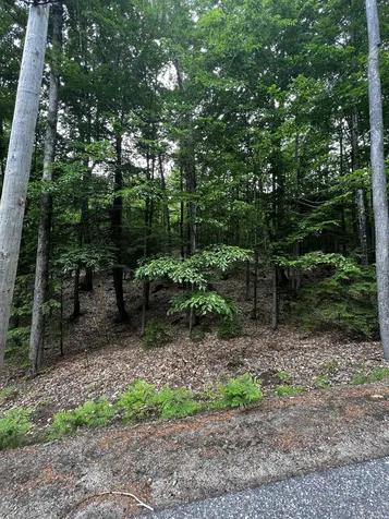 Lot 31 Access Road Wakefield NH 03872