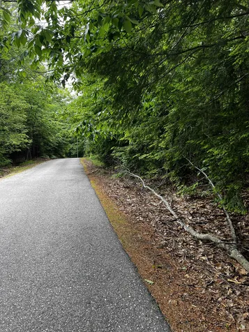 Lot 31 Access Road Wakefield NH 03872