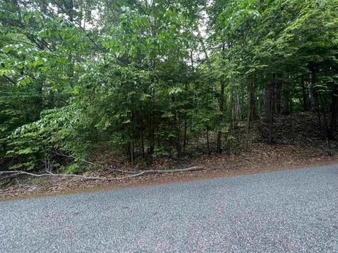 Lot 31 Access Road Wakefield NH 03872