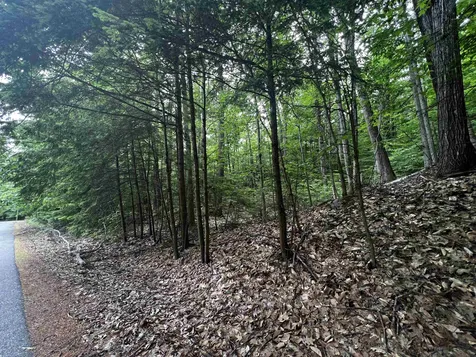 Lot 31 Access Road Wakefield NH 03872