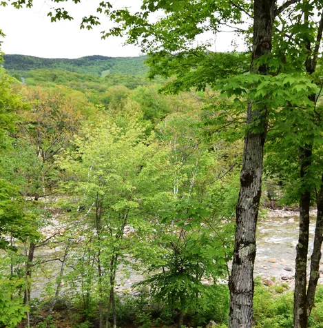 10 Bunker Lane Lincoln NH 03251