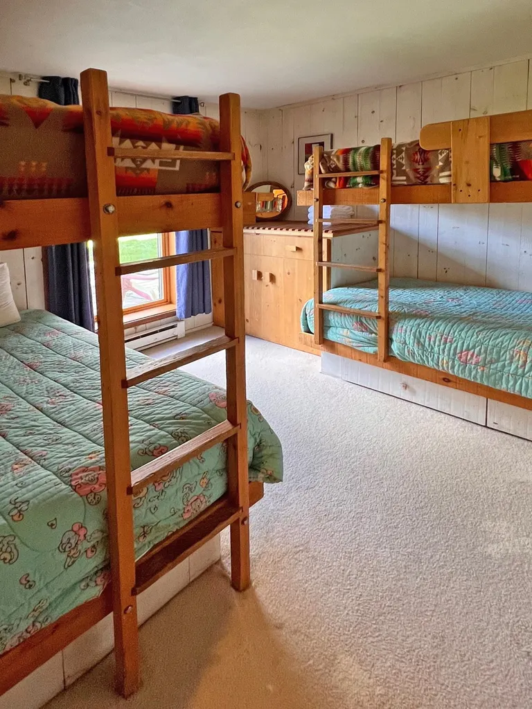 315 Mad River View Fayston VT 05673