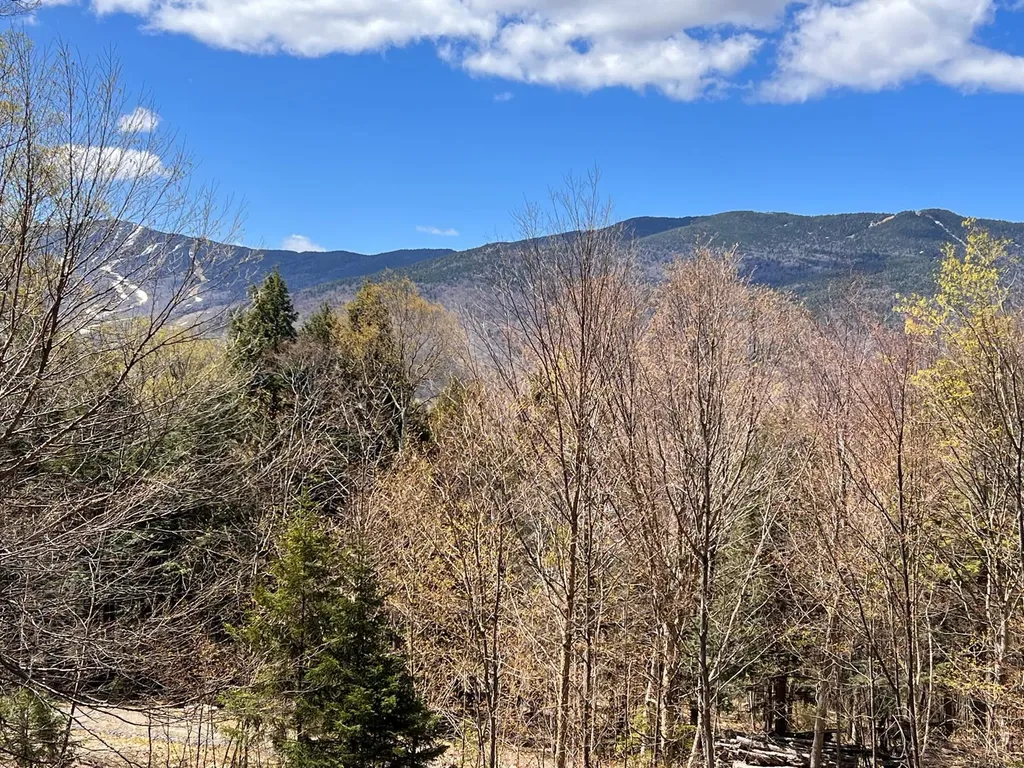 315 Mad River View Fayston VT 05673
