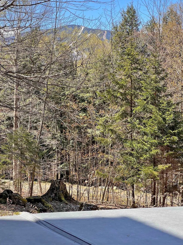 315 Mad River View Fayston VT 05673