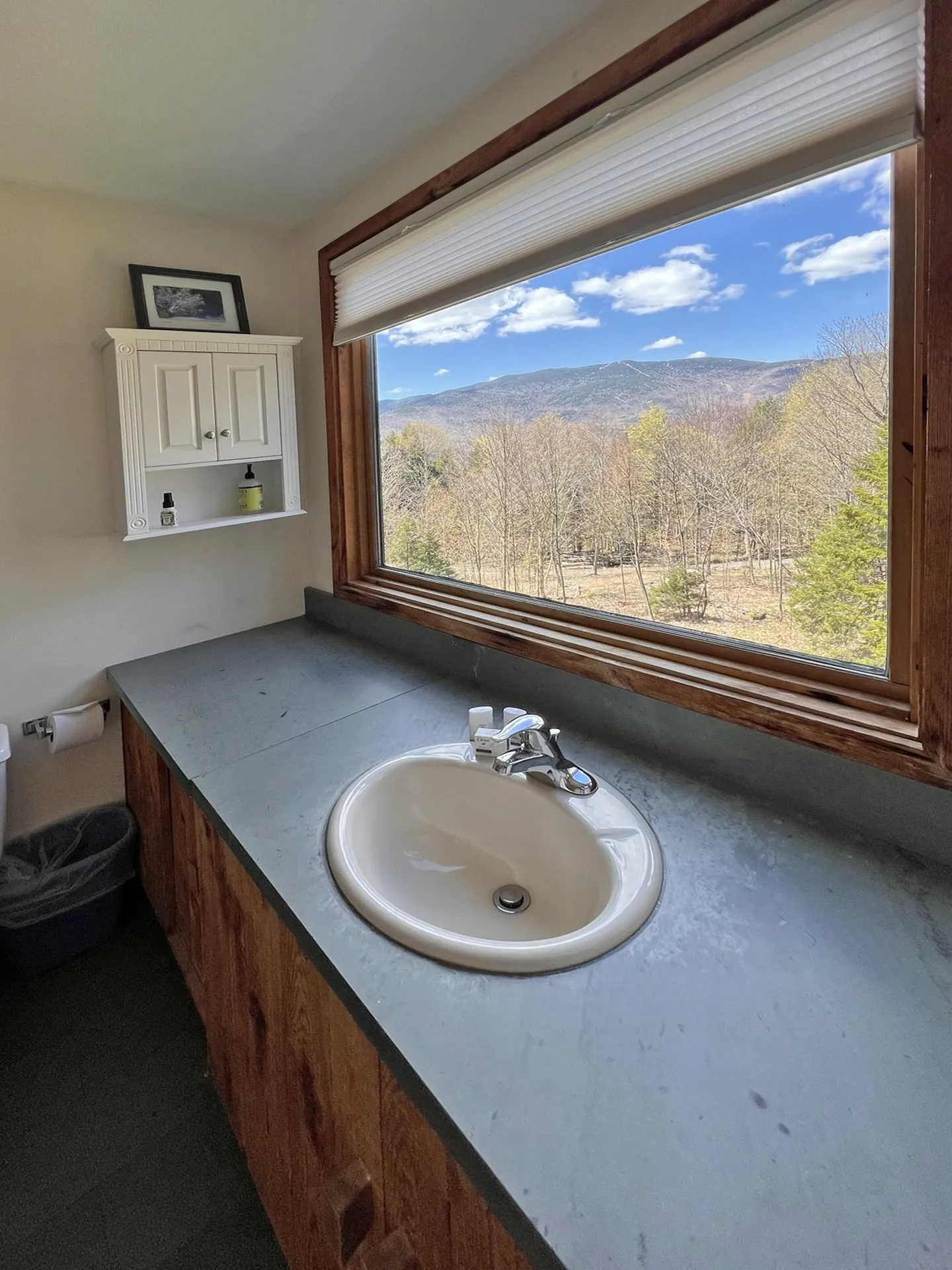 315 Mad River View Fayston VT 05673