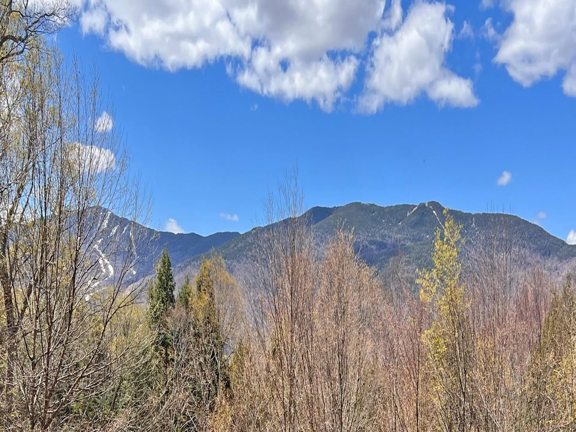 315 Mad River View Fayston VT 05673