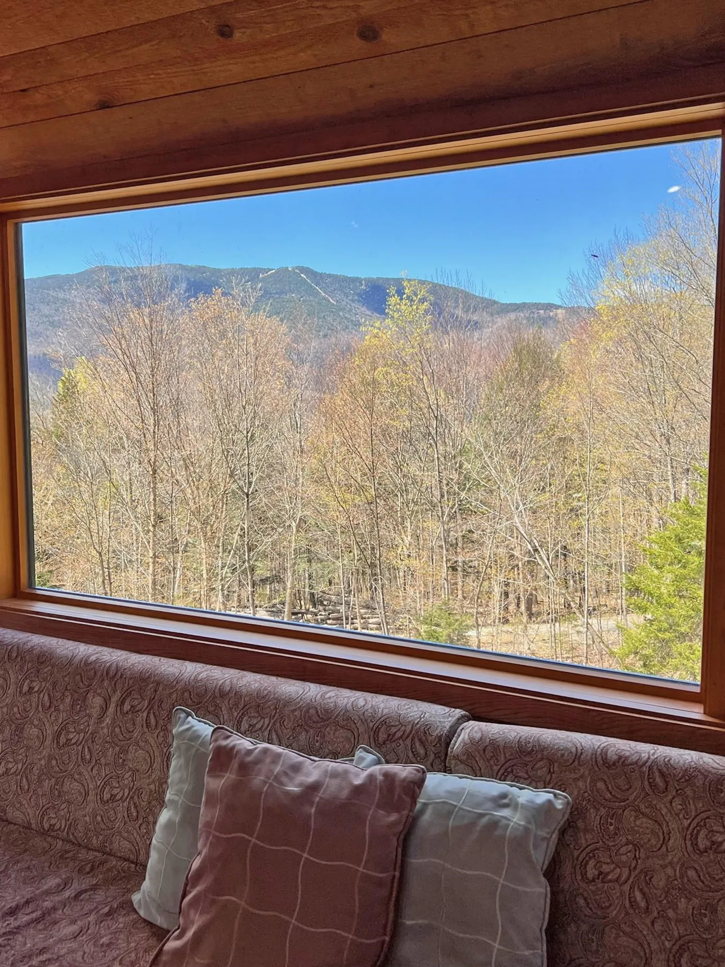 315 Mad River View Fayston VT 05673