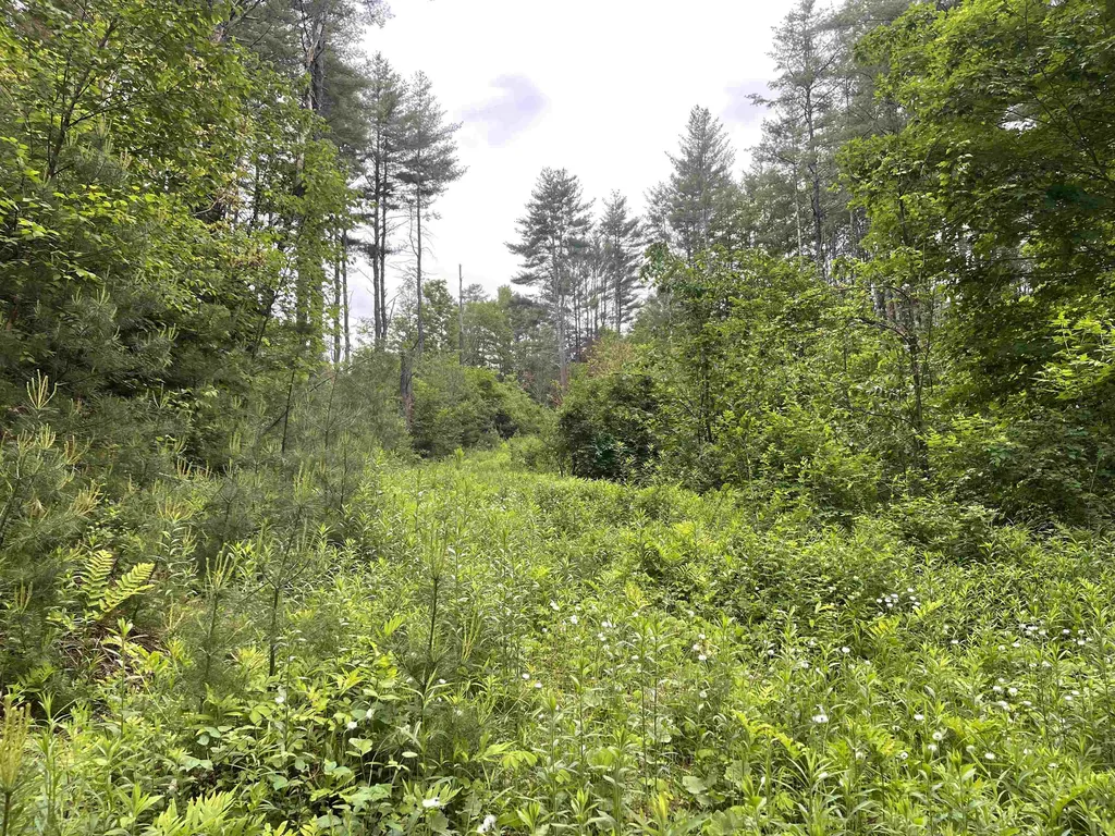 0 Vt Route 14 Royalton VT 05068