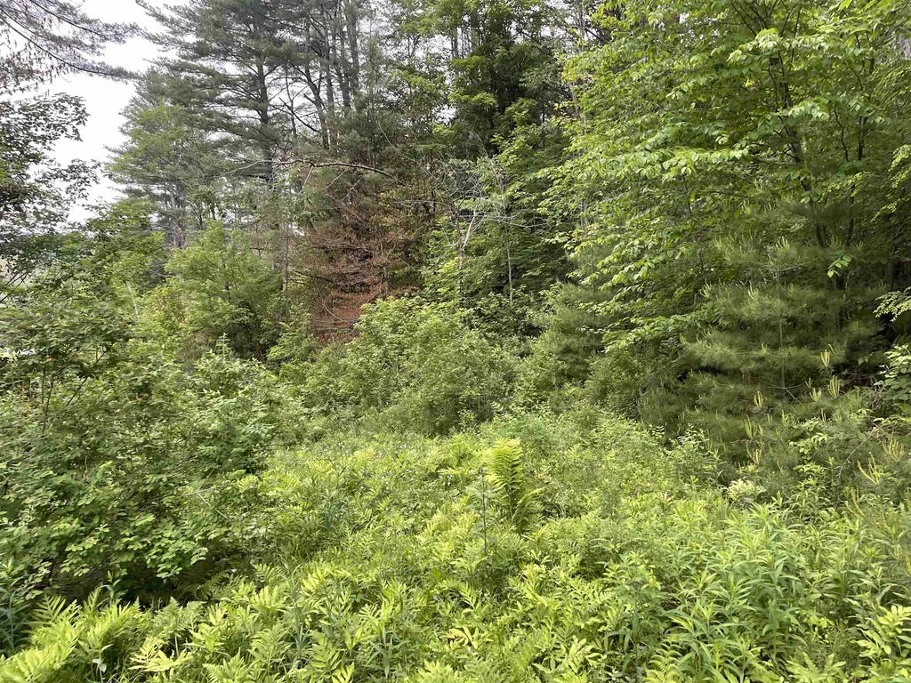 0 Vt Route 14 Royalton VT 05068