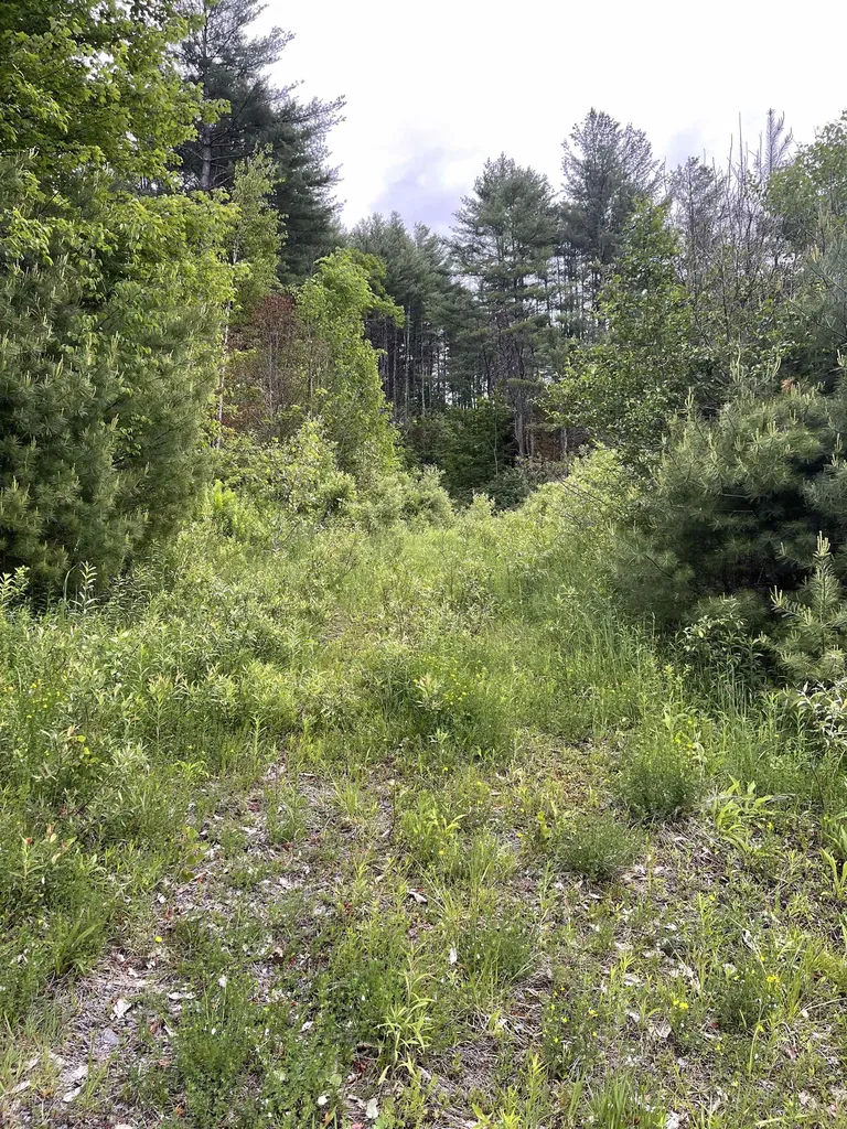0 Vt Route 14 Royalton VT 05068