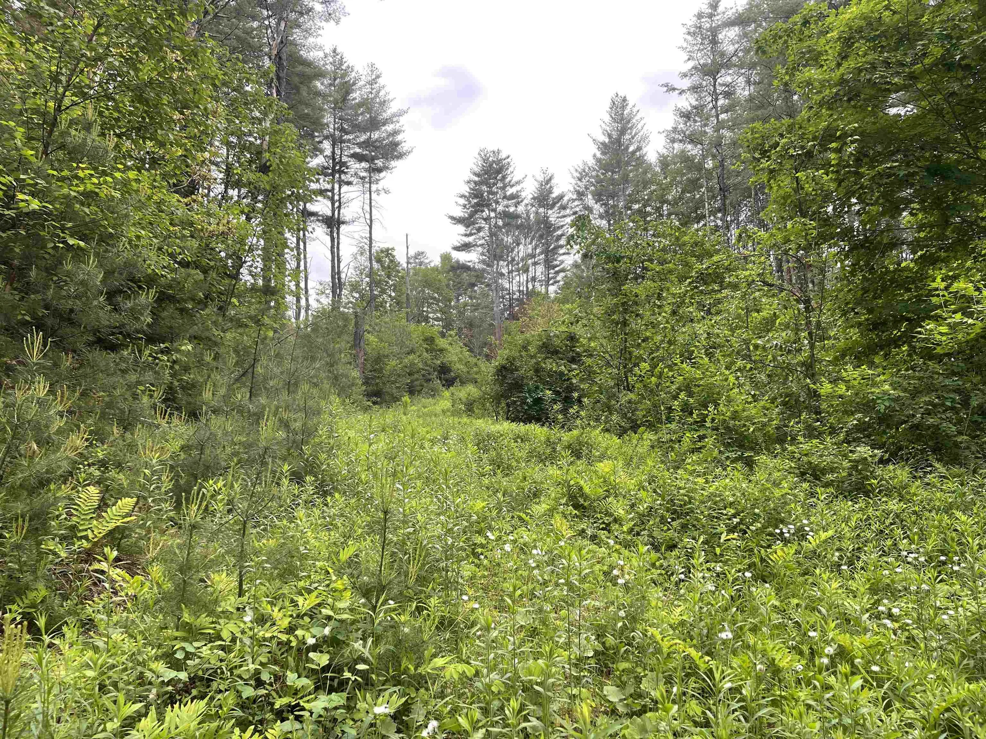 0 Vt Route 14 Royalton VT 05068