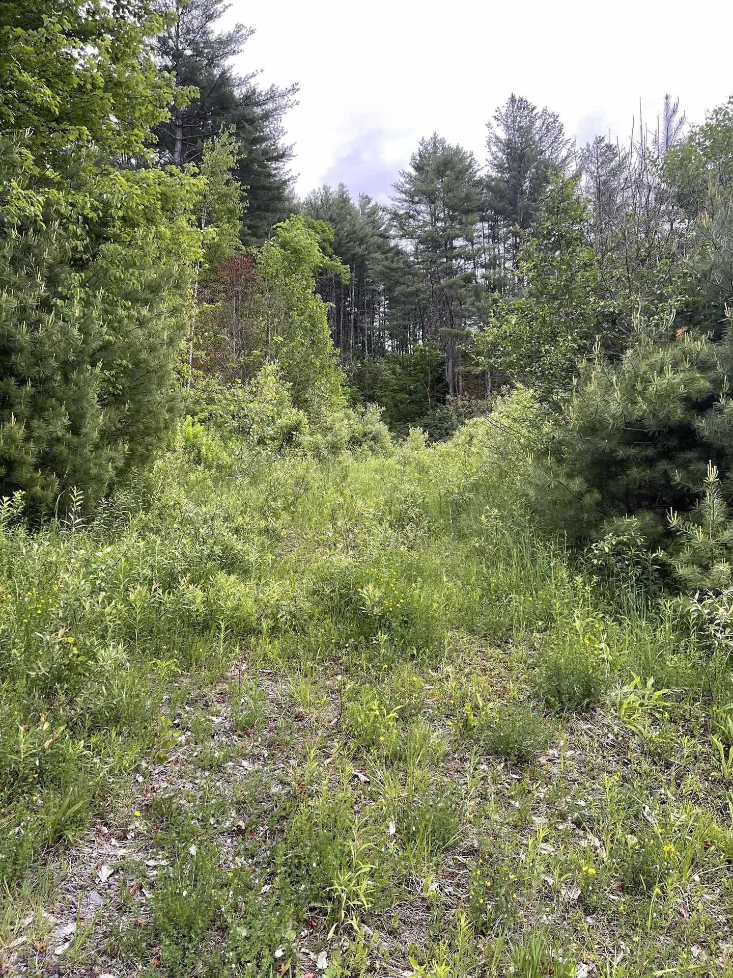 0 Vt Route 14 Royalton VT 05068