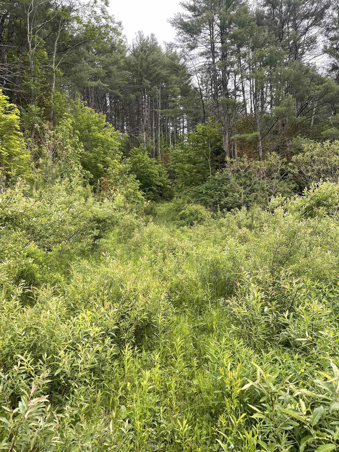 0 Vt Route 14 Royalton VT 05068