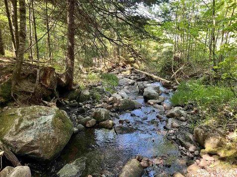 00 Vt Route 105 Bloomfield VT 05905